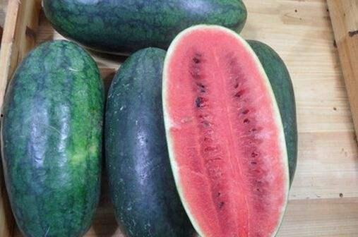 黑料不打料入口 今日吃瓜网,今日吃瓜网独家爆料