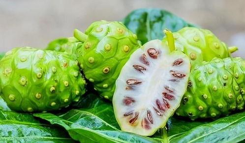 黑料不打料入口 今日吃瓜网,今日吃瓜网独家爆料