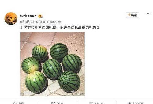 网红热瓜,揭秘网络红人的崛起与争议